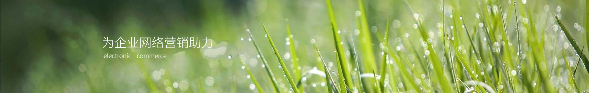 л()Ƽ޹˾